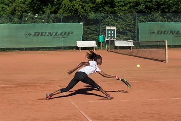 Noma Noha Akugue 304 - Amato Caffe Open